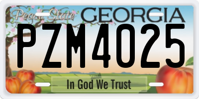 GA license plate PZM4025