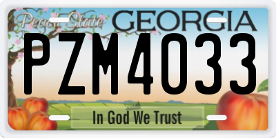 GA license plate PZM4033