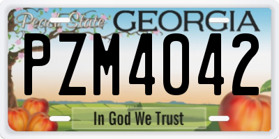 GA license plate PZM4042