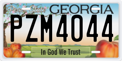 GA license plate PZM4044