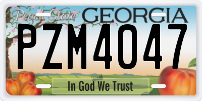 GA license plate PZM4047