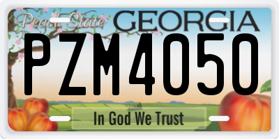 GA license plate PZM4050