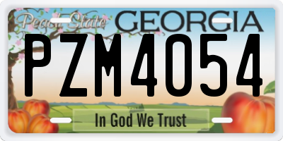 GA license plate PZM4054