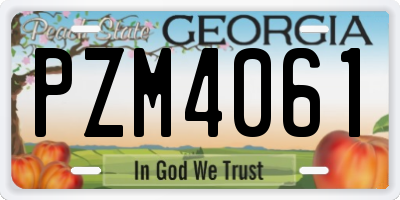 GA license plate PZM4061
