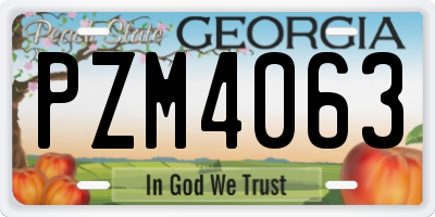 GA license plate PZM4063