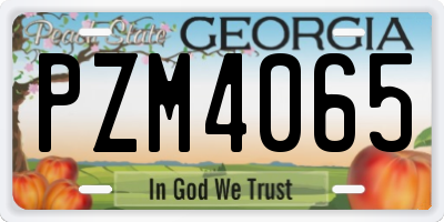 GA license plate PZM4065