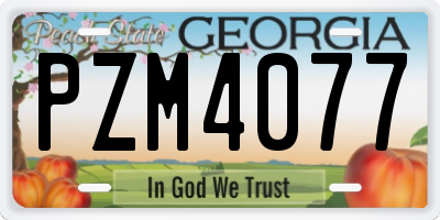 GA license plate PZM4077