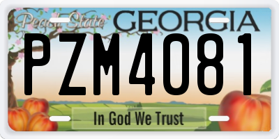 GA license plate PZM4081