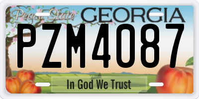 GA license plate PZM4087