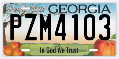 GA license plate PZM4103