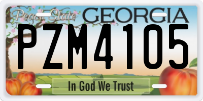 GA license plate PZM4105