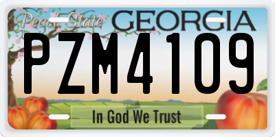 GA license plate PZM4109