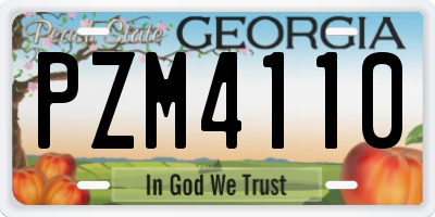 GA license plate PZM4110