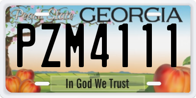 GA license plate PZM4111