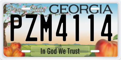 GA license plate PZM4114