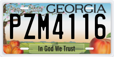 GA license plate PZM4116