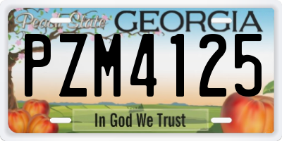 GA license plate PZM4125