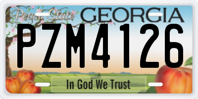 GA license plate PZM4126