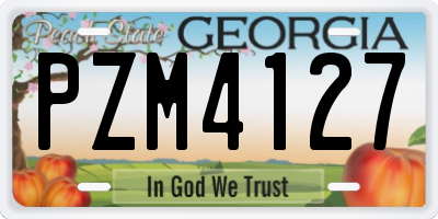 GA license plate PZM4127