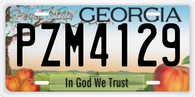GA license plate PZM4129