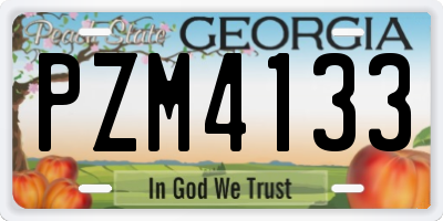 GA license plate PZM4133