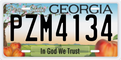 GA license plate PZM4134