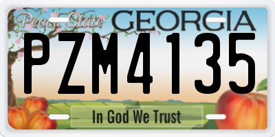 GA license plate PZM4135