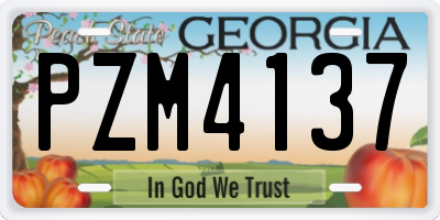 GA license plate PZM4137