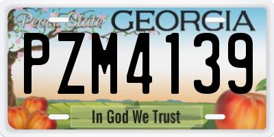 GA license plate PZM4139