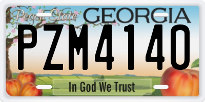 GA license plate PZM4140