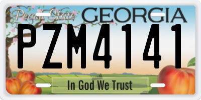 GA license plate PZM4141