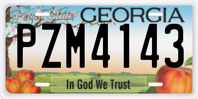 GA license plate PZM4143