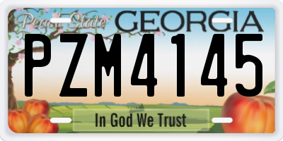 GA license plate PZM4145