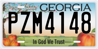 GA license plate PZM4148