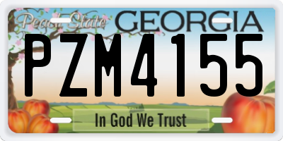 GA license plate PZM4155