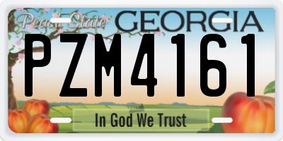 GA license plate PZM4161