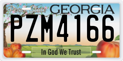 GA license plate PZM4166
