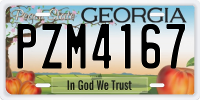 GA license plate PZM4167