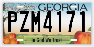 GA license plate PZM4171