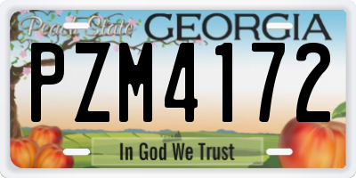 GA license plate PZM4172