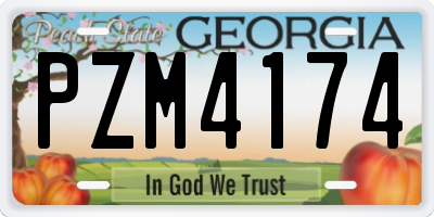 GA license plate PZM4174