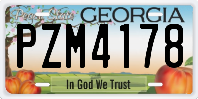 GA license plate PZM4178