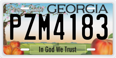 GA license plate PZM4183