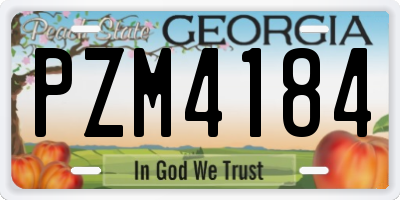 GA license plate PZM4184