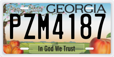GA license plate PZM4187