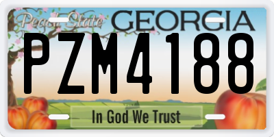 GA license plate PZM4188