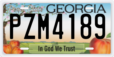 GA license plate PZM4189