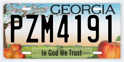 GA license plate PZM4191