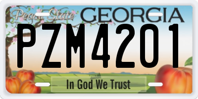 GA license plate PZM4201