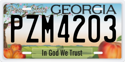 GA license plate PZM4203